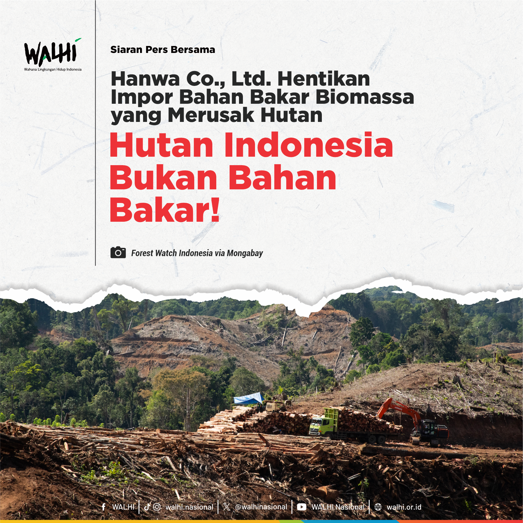 Hanwa Co., Ltd. Hentikan Impor Bahan Bakar Biomassa yang Merusak Hutan, Hutan Indonesia bukan bahan bakar!