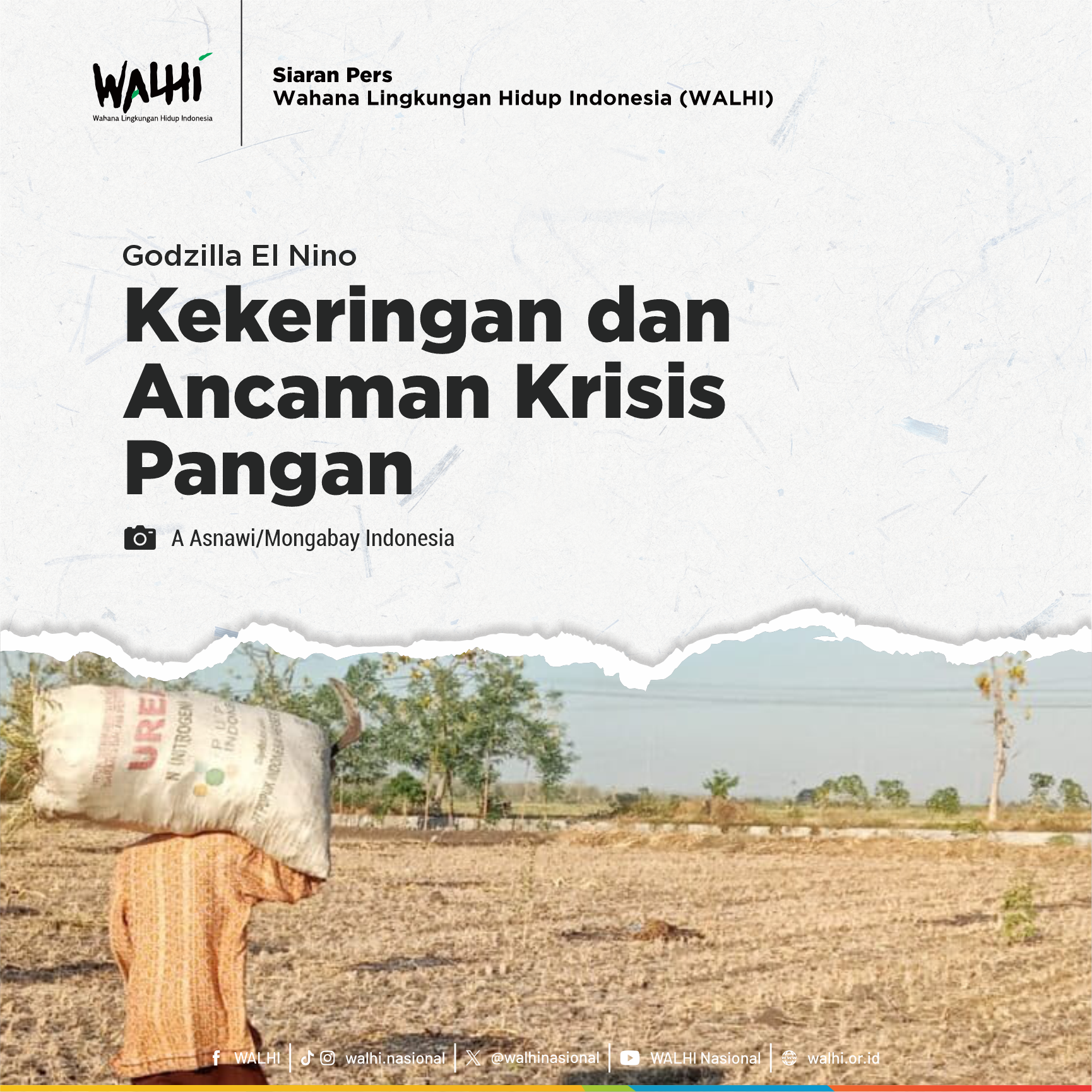 Godzilla El Nino: Kekeringan dan Ancaman Krisis Pangan